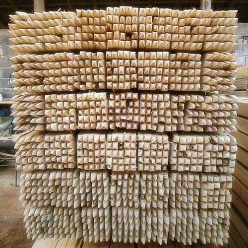 Bagremovi stubići (zašiljeni)